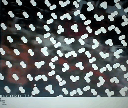 ����A�[�g��i